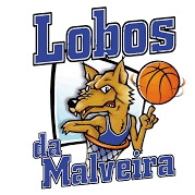 洛博斯达马尔维拉